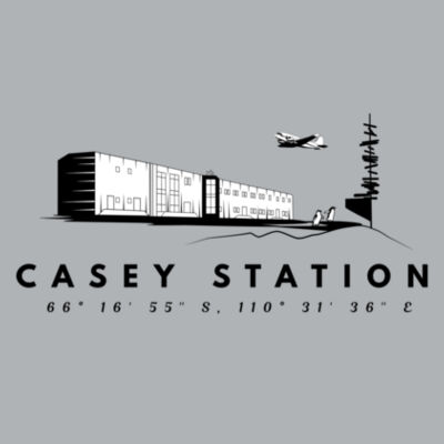 Grey with Black Logo Design