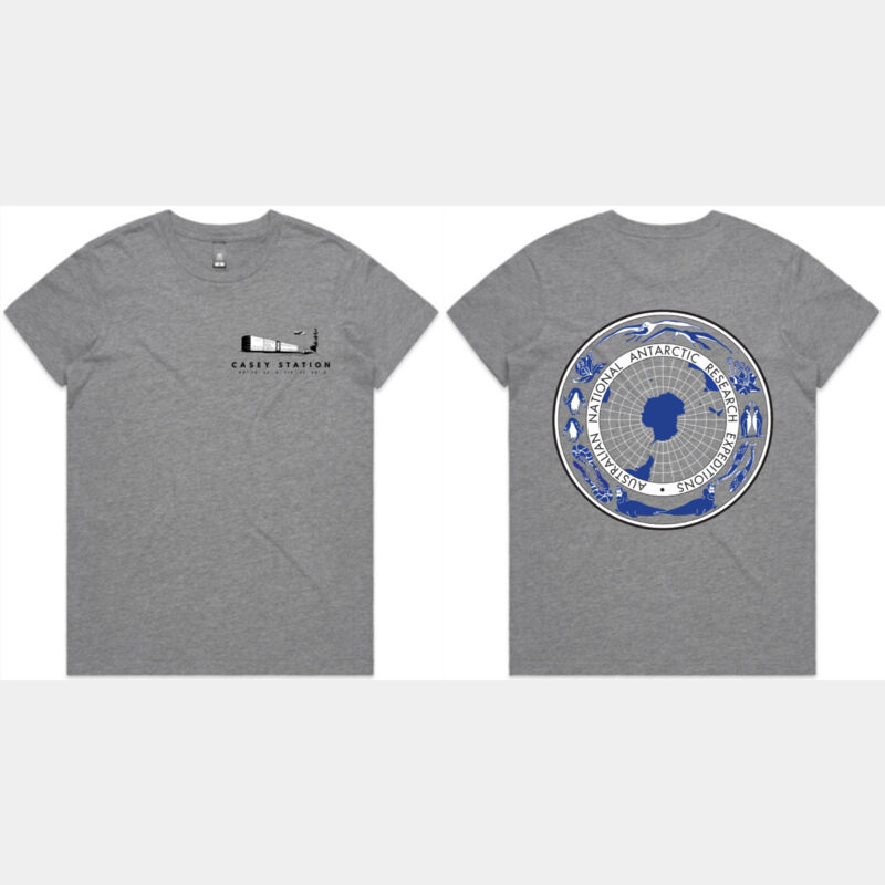 Design 4 (Blue Antarctica) Thumbnail